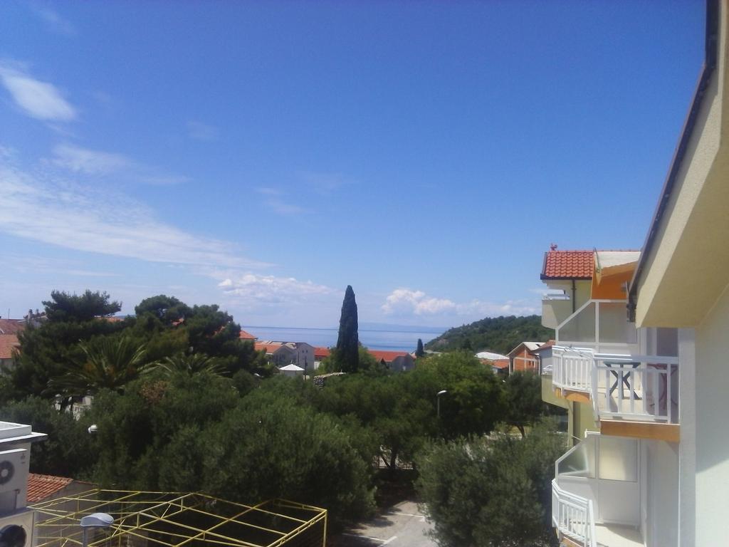 Ivva Podaca