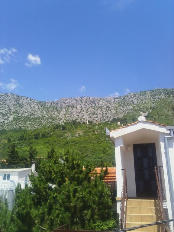 Ivva * Podaca