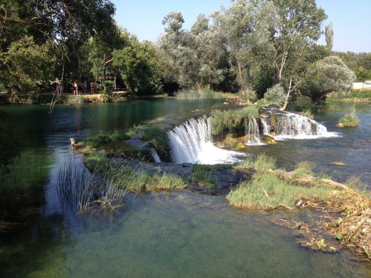 Ivva Podaca
